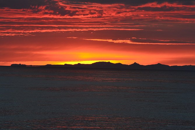 Magical Whales in the Midnight Sun | from Reykjavik - Wi-Fi in the cabin: practical, not gimmicky