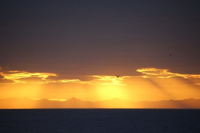 Midnight Sun Whale Watching from Reykjavik - What you’ll actually do for 2.5 hours on the water
