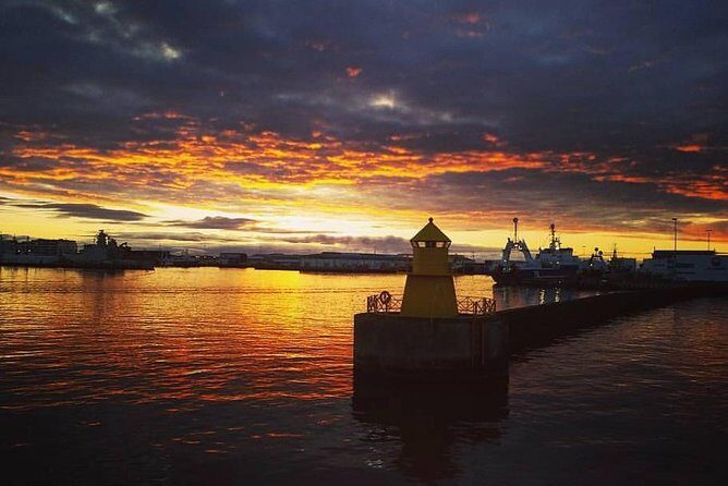Midnight Sun Whale Watching from Reykjavik - Thermal overalls, heated seating, and staying warm without fuss