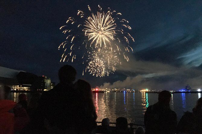 New Year's Eve Fireworks Cruise in Reykjavik - The Fireworks Viewing: Out Into Faxaflói Bay, Then Back Downtown