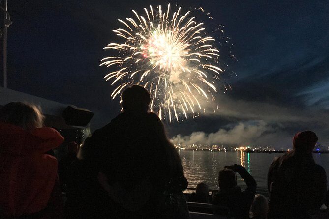New Year's Eve Fireworks Cruise in Reykjavik - Who This Cruise Fits Best (And Who Might Want a Different Plan)