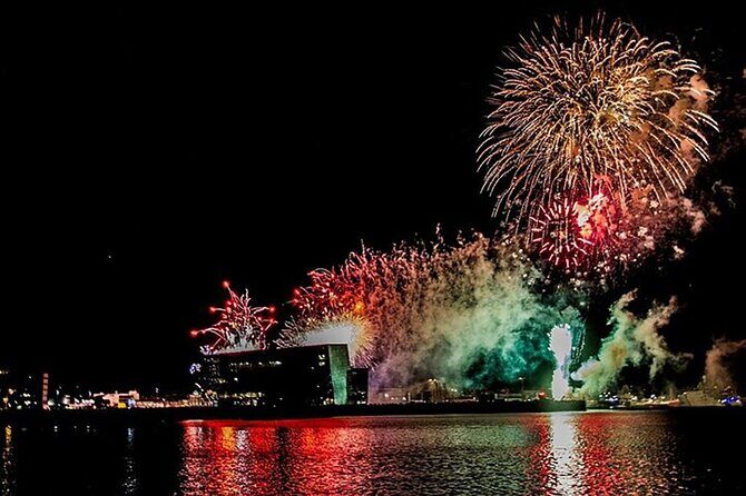 New Years Fireworks by Boat from Reykjavik - Who This Cruise Is For (and Who Might Skip It)