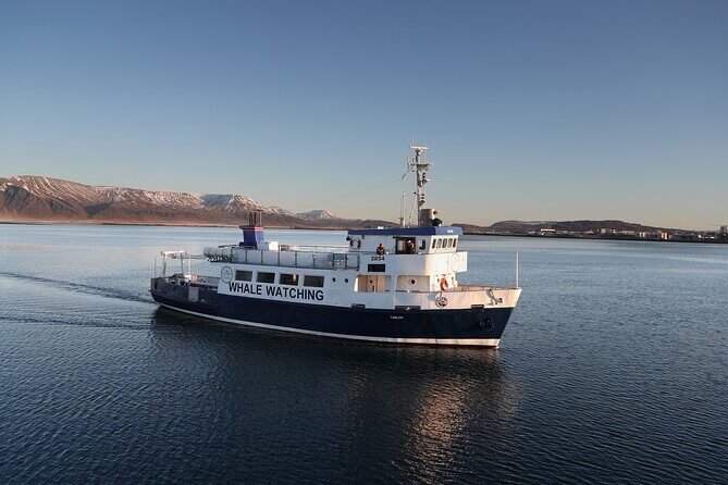 New Years Fireworks by Boat from Reykjavik - Practical Tips to Make Your Night Smoother
