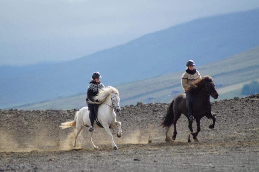 North Iceland: Horseback Riding Tour - Birch forest, black sand, and volcanic rocks: the route meaning