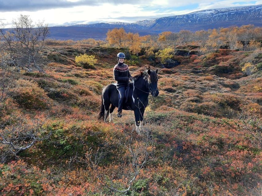 North Iceland: Horseback Riding Tour - From the farm to the river to a small lake crossing