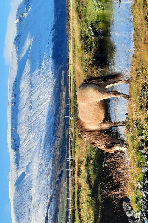North Iceland: Horseback Riding Tour - Gear and clothing: what to wear so you enjoy it