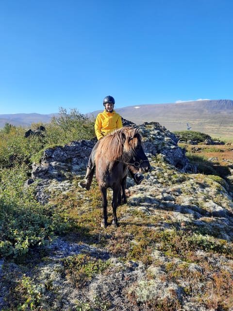 North Iceland: Horseback Riding Tour - Price and value: what $141 buys you here