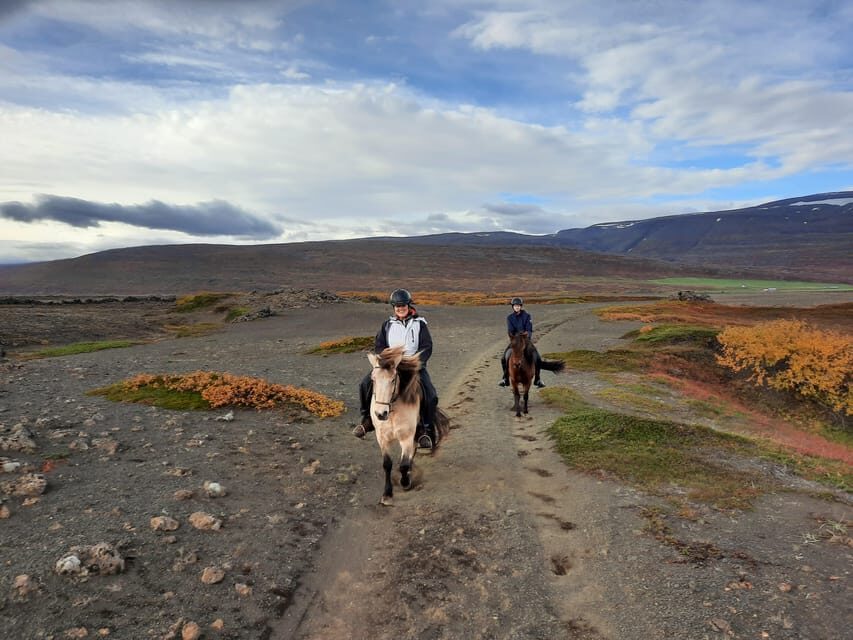 North Iceland: Horseback Riding Tour - Timing and practical logistics: what to plan around