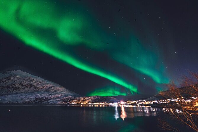 Northern Lights Boat Cruise from Reykjavik - Northern Lights viewing: how you actually get help finding the show