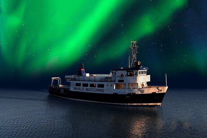 Northern Lights Boat Cruise from Reykjavik - Sails from Reykjavík’s Old Harbour to open-water viewing