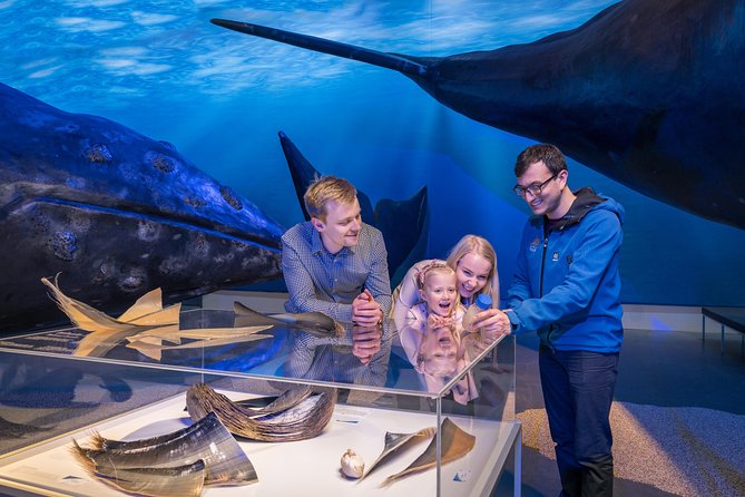 Northern Lights by Boat with a Backup Plan from Reykjavik - Price and value in Reykjavik: what you’re really paying for
