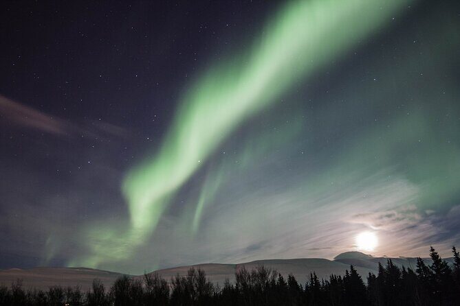 Northern Lights Classic MiniBus Tour from Akureyri - Key things I’d bet on