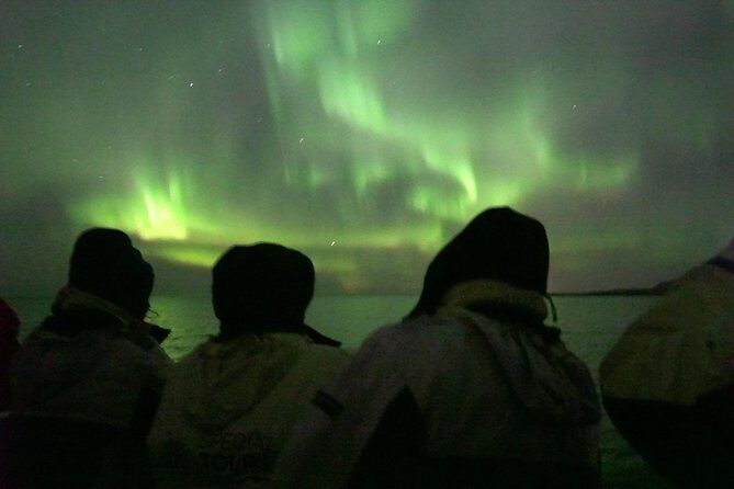 Northern Lights Cruise from Reykjavik Including Photos - Price and Value: What $108.13 Buys You in Practice
