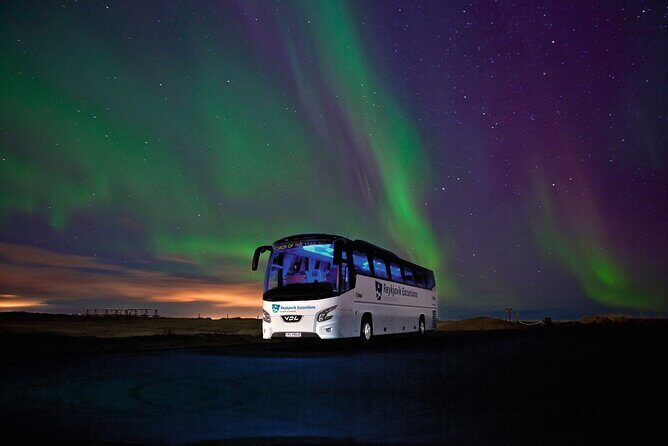 Northern Lights Guided Bus Tour from Reykjavik - Viewing odds: how to set your expectations (so you don’t feel cheated)
