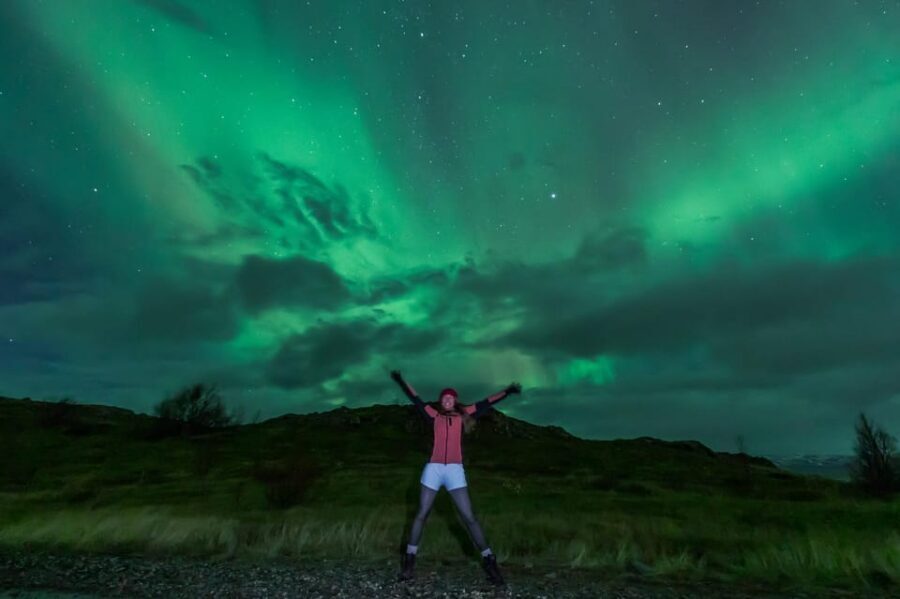 Northern Lights in Mini Bus, Photos, Hot Cocoa and Pastries - What Makes This Tour Good Value at $124