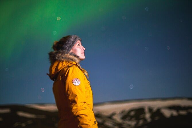 Northern Lights Minibus Tour with Hot Cocoa, Blankets & Photos - Price and value: is $106.44 a fair deal for this kind of night?