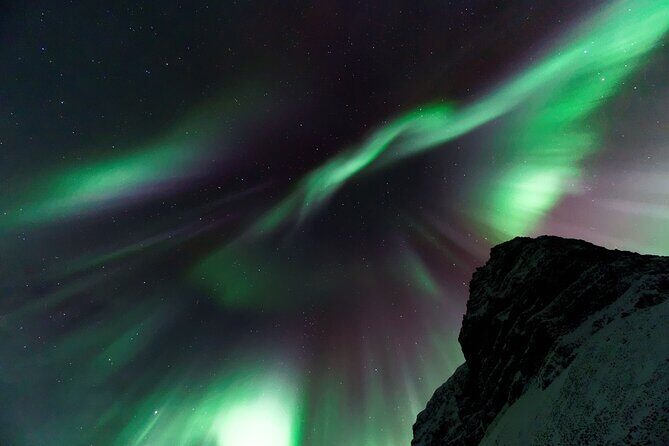 Northern Lights Private Tour from Reykjavik - Pickup at 8:00 pm: The Logistics That Keep the Night Smooth