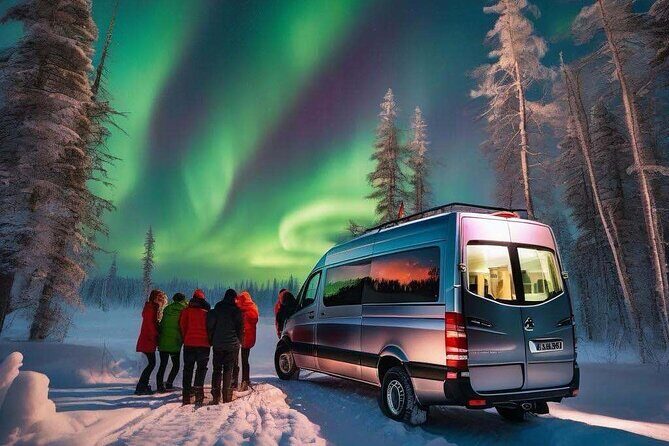 Northern Lights Small Group Tour from Reykjavik - Who should book this tour?