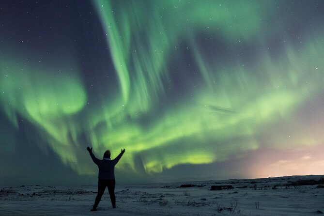 Northern Lights Small Group Tour from Reykjavik with Free Photos - Snacks, Hot Chocolate, and Why Comfort Matters