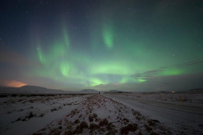 Northern Lights Small-Group Tour From Reykjavik with Hot Drink - Price and value check for $109