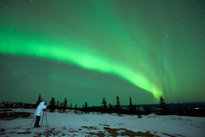 Northern Lights Tour from Reykjavik with Lifetime Guarantee - Key highlights worth planning for
