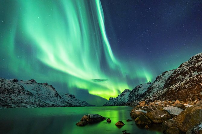 Northern Lights Tour from Reykjavik with Lifetime Guarantee - Why the night-drive format beats DIY watching