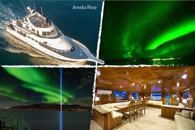 Northern Lights Yacht Cruise in Reykjavik - What the crew does for you: spotting, timing, and photography help