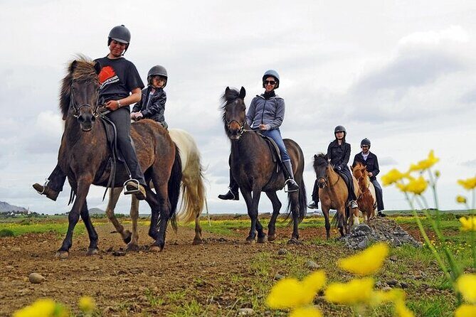One-Hour Horseback Riding Tour in the Icelandic Countryside - One Hour on Iceland’s Horses: What This Ride Really Delivers