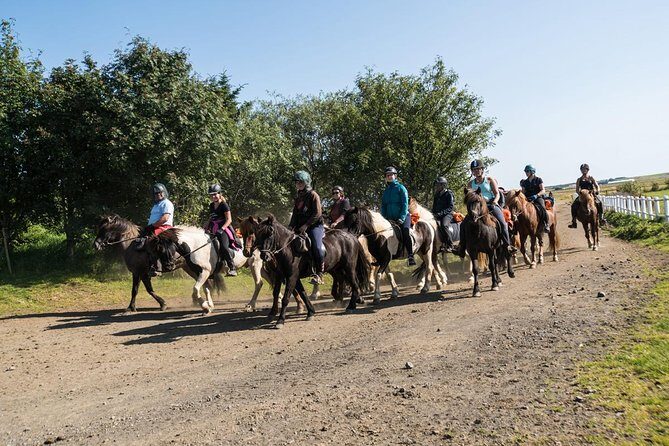 One-Hour Horseback Riding Tour in the Icelandic Countryside - Where You Start: Hótel Eldhestar and the Vellir Riding Area