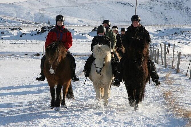 One-Hour Horseback Riding Tour in the Icelandic Countryside - Timing, Weather, and Simple Planning That Saves Friction