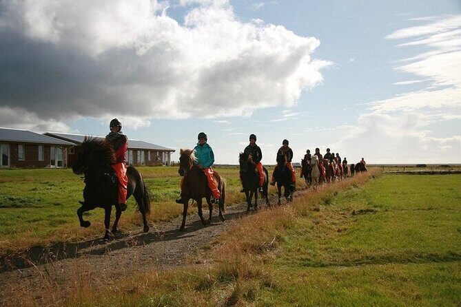 One-Hour Horseback Riding Tour in the Icelandic Countryside - FAQ