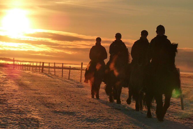 One-Hour Horseback Riding Tour in the Icelandic Countryside - The Actual Ride: What You’ll Do in That One Hour