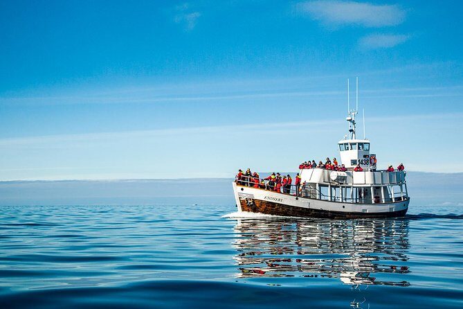 Original Carbon Neutral Whale Watching Tour from Húsavík - Departure times and meeting point: don’t show up late