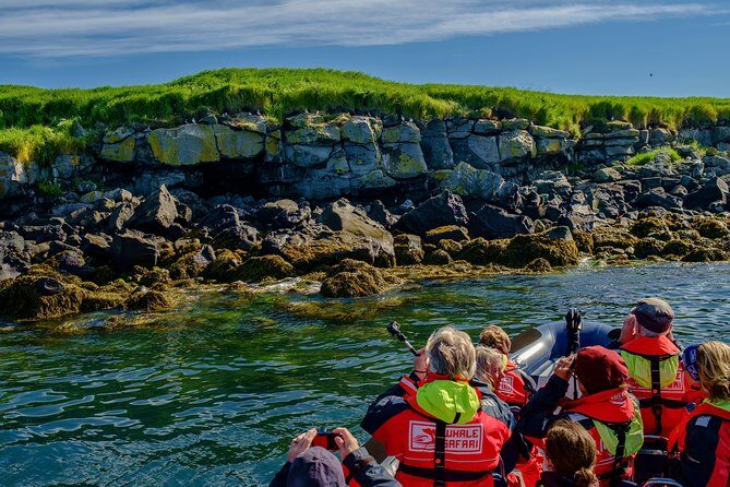 Premium Small-Group Puffin & Bird Watching tour from Reykjavík - Akurey and the Protected Islands: Where the Puffins Actually Are