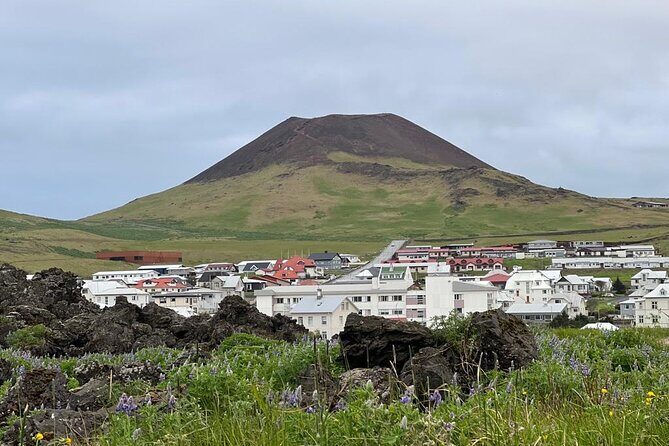 PRIVATE 2-Hours Tour - Westman Islands with a local in a BMW X5 - Price and value: when $607.15 makes sense