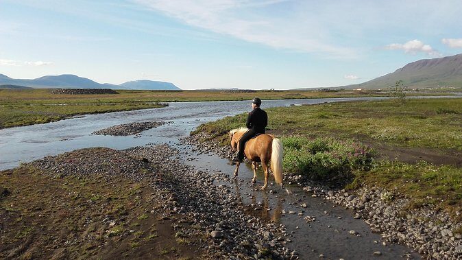 Private 3-Hour Horseback Riding Tour - Why This Akureyri Horse Tour Feels More Like Riding Than Sitting