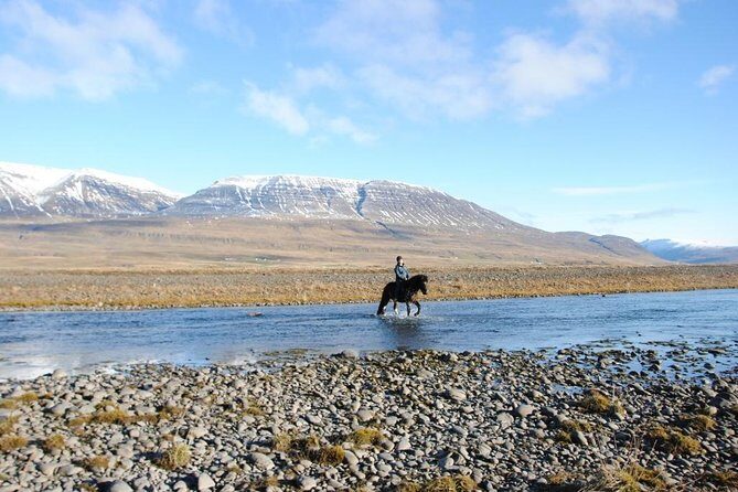 Private 3-Hour Horseback Riding Tour - Key Highlights to Expect (Before You Saddle Up)