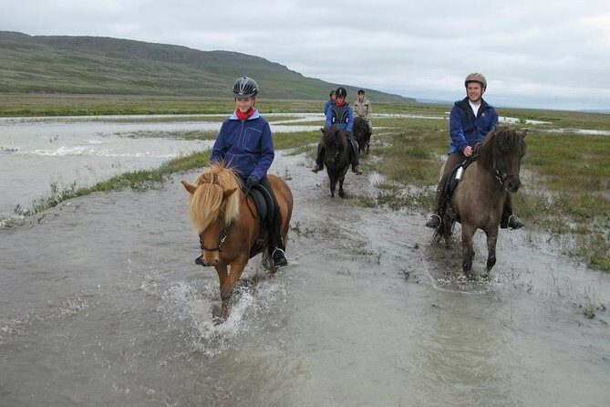 Private 3-Hour Horseback Riding Tour - Price and Value: Is $230.45 Worth It?