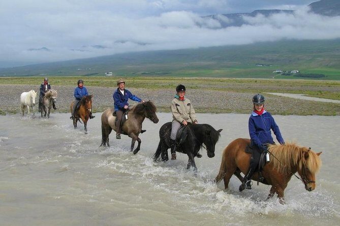Private 3-Hour Horseback Riding Tour - Meeting at Hestasport, Then Getting Your Ride Plan