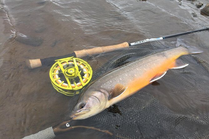 Private Fishing Tour from Reykjavik - Arctic Char and Brown Trout - Price and Value: Is $960 Per Person a Good Deal?