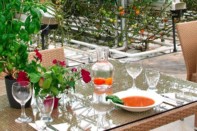 Private Golden Circle, Sky Lagoon and Friðheimar Greenhouse Lunch - Friðheimar tomato greenhouse lunch: why this stop is worth the detour
