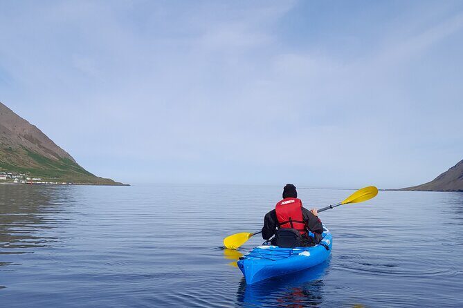 Private: Guided kayak tour in Siglufjörður / Siglufjordur. - Key highlights worth booking