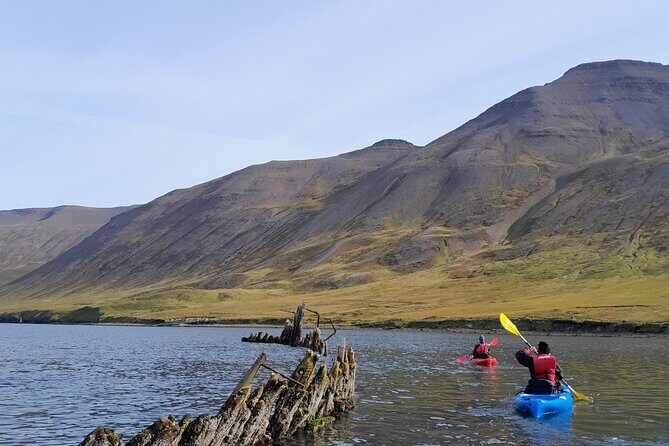 Private: Guided kayak tour in Siglufjörður / Siglufjordur. - Getting suited up at Sigló Sea: drysuit comfort beats guesswork