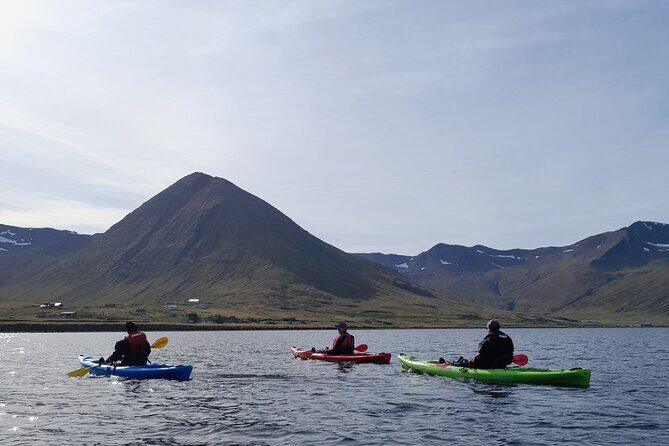 Private: Guided kayak tour in Siglufjörður / Siglufjordur. - What’s included versus what you’ll still need