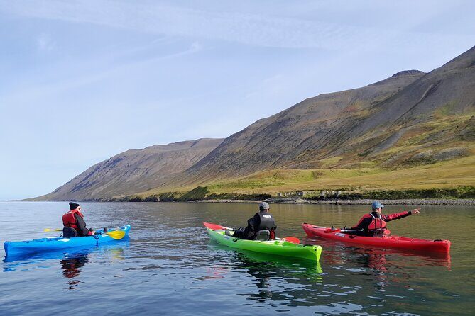 Private: Guided kayak tour in Siglufjörður / Siglufjordur. - Siglufjörður landmarks from the water: shipwrecks, avalanche history, and a lighthouse