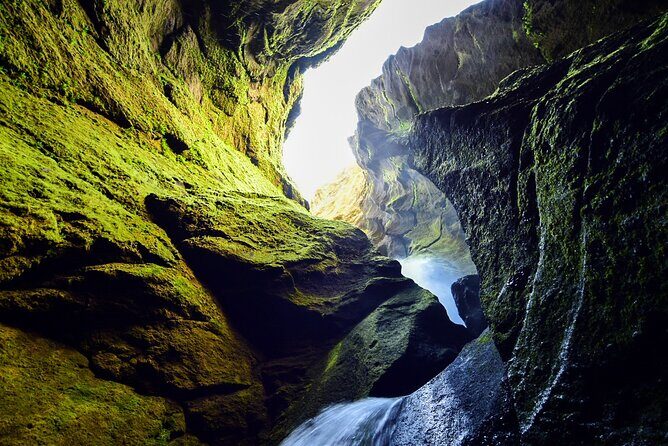 Private Half Day Iceland Tour with Guide and Vehicle - Should You Book This Private Half-Day Tour?