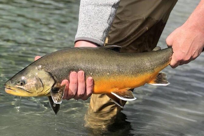 Private Lake and River Fishing Tour from Reykjavik - Þingvellir National Park on the Way: Why the Drive Isn’t Just Empty Time