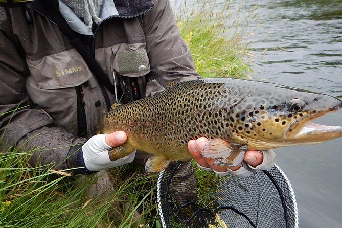 Private Lake and River Fishing Tour from Reykjavik - Learning Techniques That Actually Change Your Results