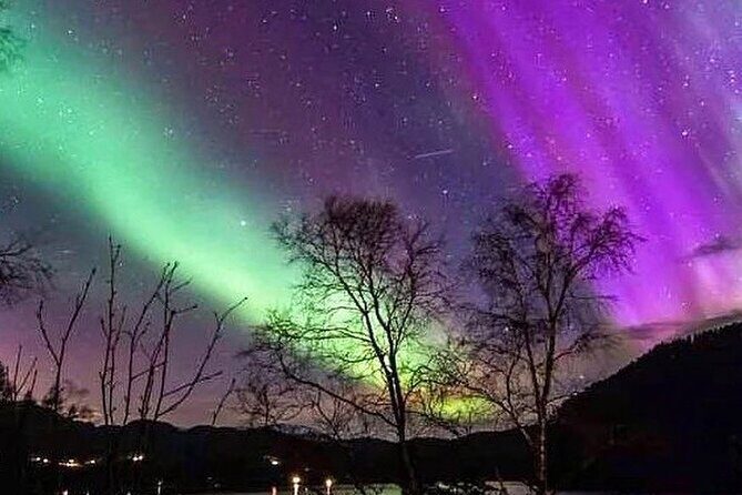 Private Northern Lights Tour From Reykjavik - Pickup 15 minutes early and real flexibility once you’re on the ground