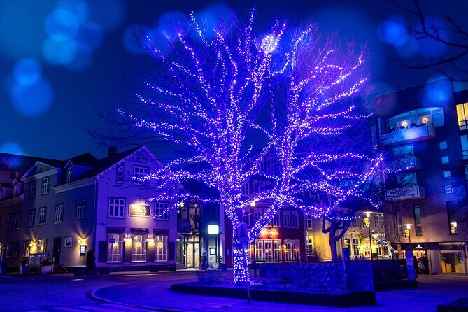 Private Reykjavik Christmas Walking Tour - A Christmas walk that turns Reykjavik lights into stories